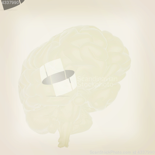 Image of 3D illustration of human brain. Vintage style.