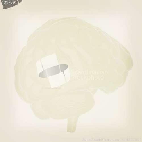 Image of 3D illustration of human brain. Vintage style.