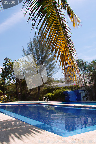 Image of Swimming pool