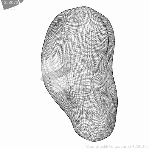 Image of Ear digital model. 3d illustration