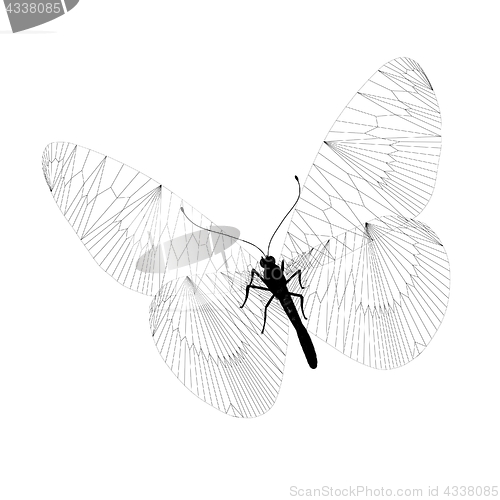 Image of line butterfly. 3d illustration