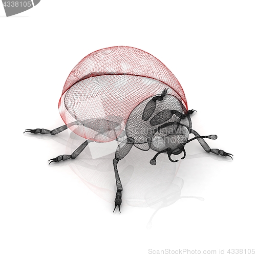Image of Ladybird on a white background. 3D illustration.