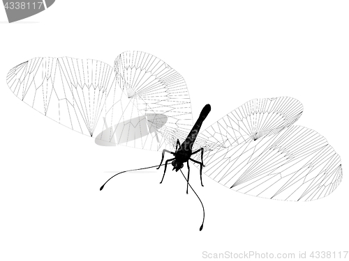 Image of line butterfly. 3d illustration