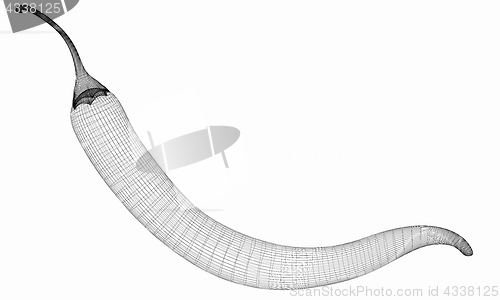 Image of chili pepper. 3d illustration
