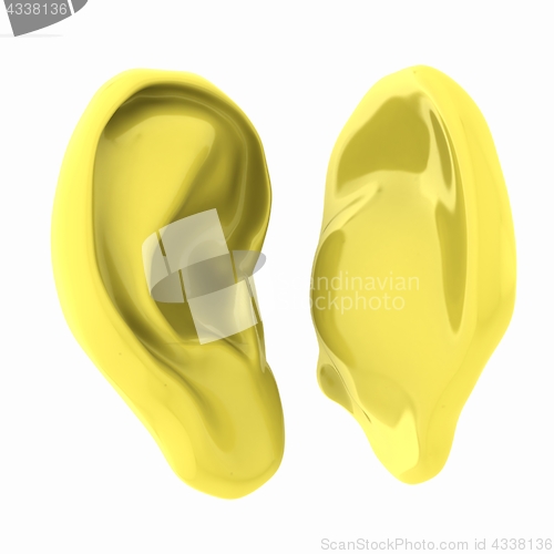 Image of Ear model. 3d illustration