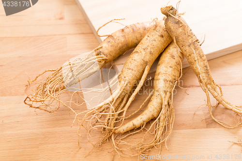 Image of Fresh Ginseng  