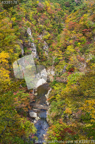 Image of Naruko canyon with autumn foliage in Japan