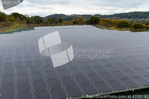 Image of Solar panel plant