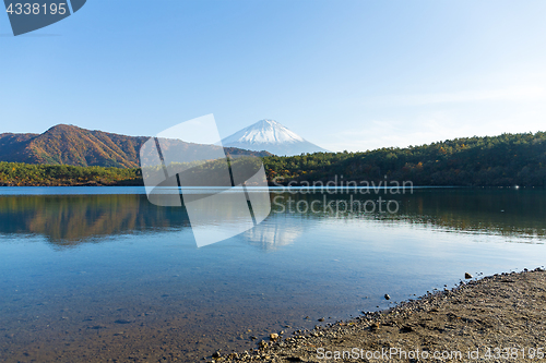 Image of Fujisan in Saiko Lake