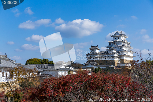 Image of Japanese Himeji castle with maple tree