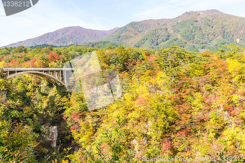 Image of Naruko canyon with autumn foliage in Japan