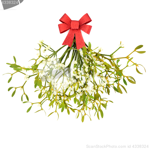 Image of Christmas Mistletoe  