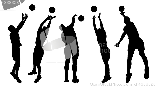 Image of Men volleyball players