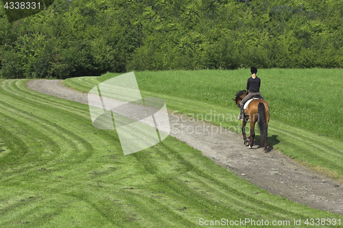 Image of riding horses