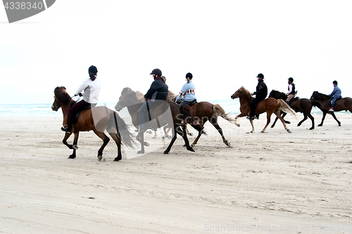 Image of riding horses