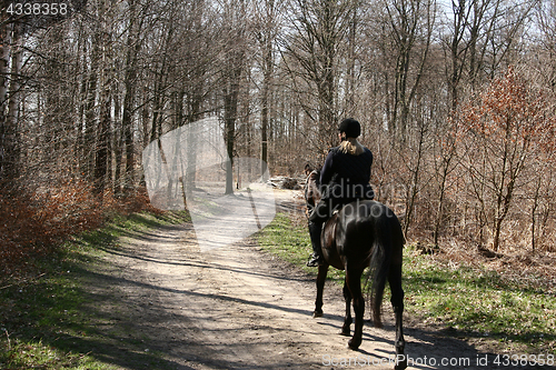 Image of riding horses