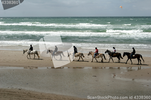 Image of riding horses