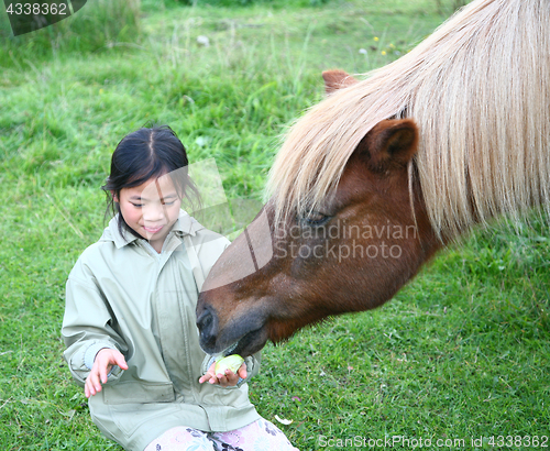 Image of riding horses