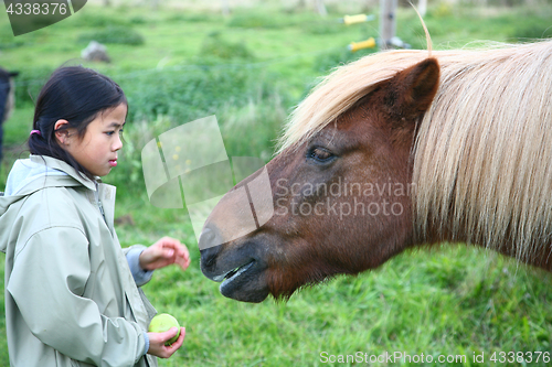 Image of riding horses