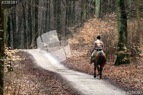 Image of riding horses