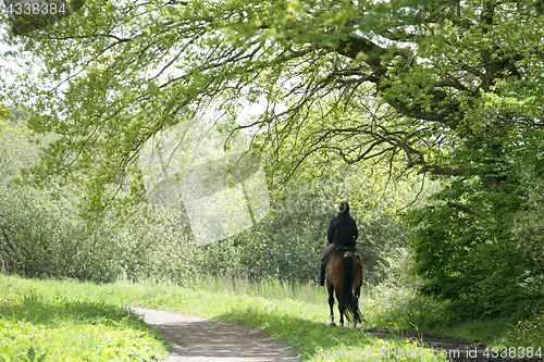 Image of riding horses