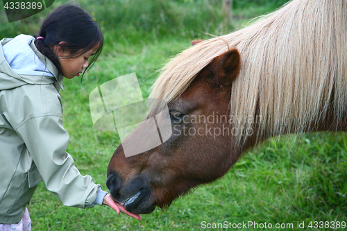 Image of riding horses