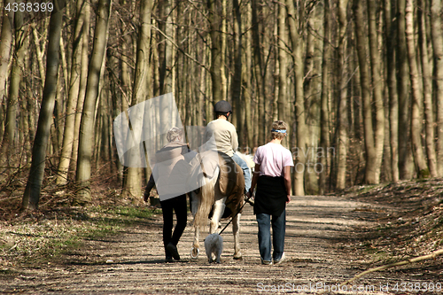 Image of riding horses