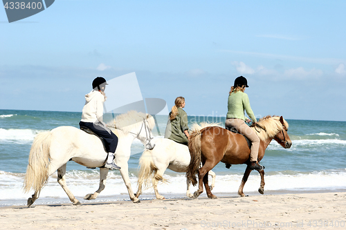 Image of riding horses