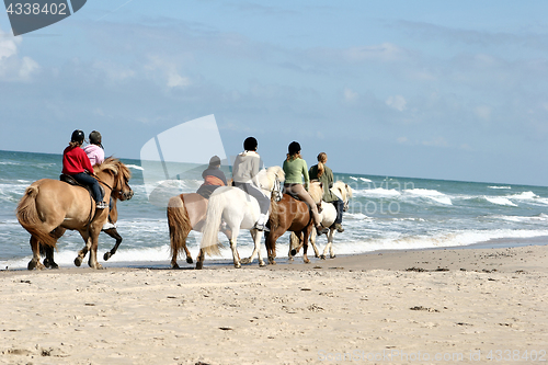 Image of riding horses