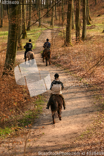 Image of riding horses