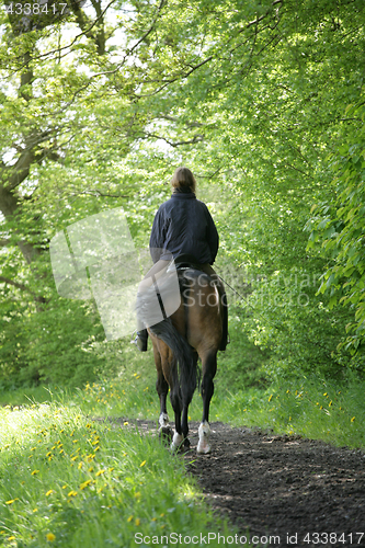 Image of riding horses