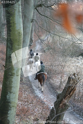 Image of riding horses