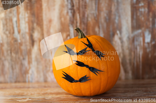 Image of pumpkins with bats or halloween party decorations