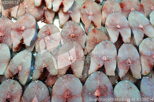 Image of Fillet of Spanish Mackerel Slide