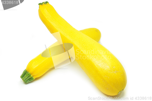 Image of Yellow squash isolated