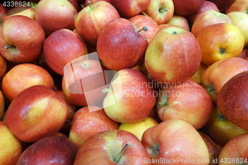 Image of Red apples on sale