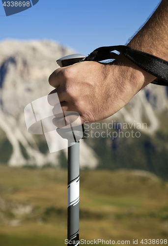 Image of Close-up of a hand with walking pole