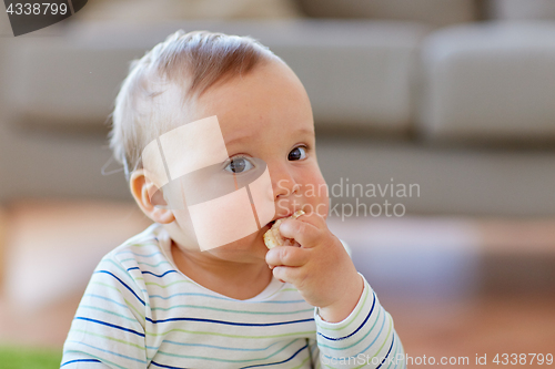 Image of baby boy eating rice cracker at home