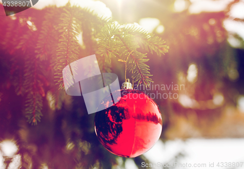 Image of red christmas ball on fir tree branch with snow