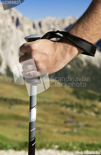 Image of Close-up of a hand with walking pole