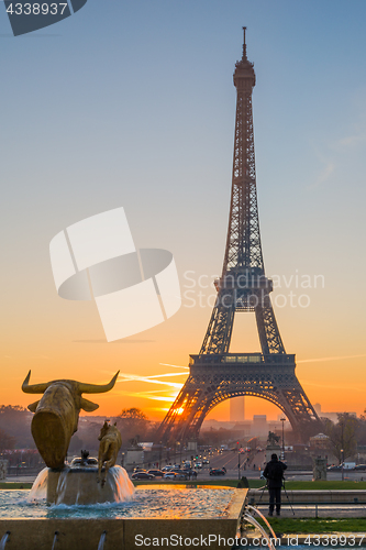 Image of The Eiffel tower at sunrise in Paris 