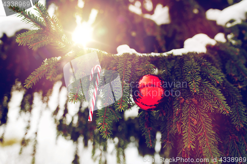 Image of candy cane and christmas ball on fir tree branch