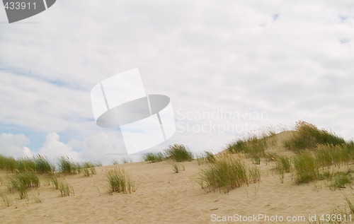 Image of Sandy Dunes