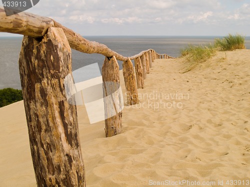 Image of Sandy Dunes