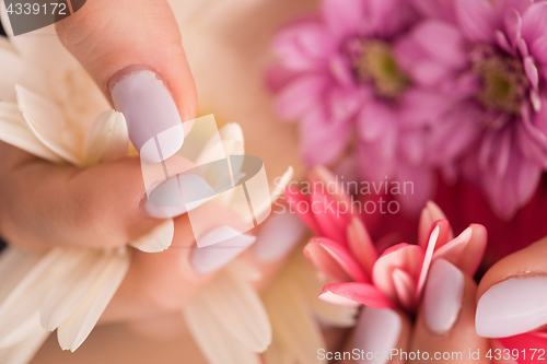 Image of woman hands with manicure holding flower