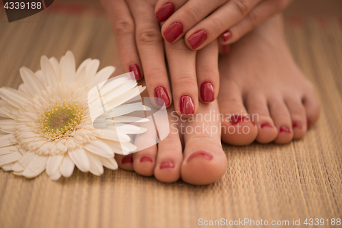 Image of female feet and hands at spa salon