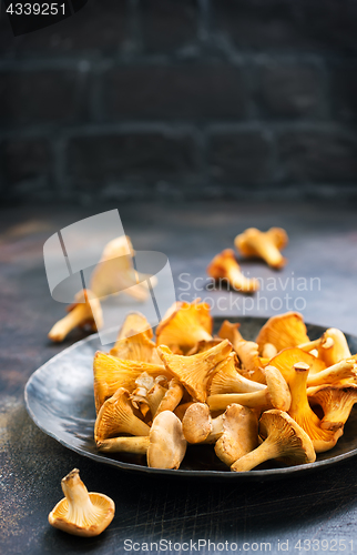 Image of raw mushroom