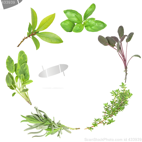Image of Garland of Herbs
