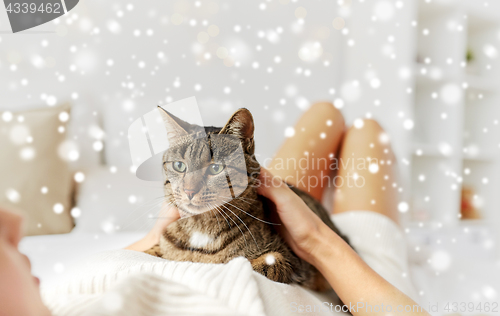 Image of young woman with cat lying in bed at home