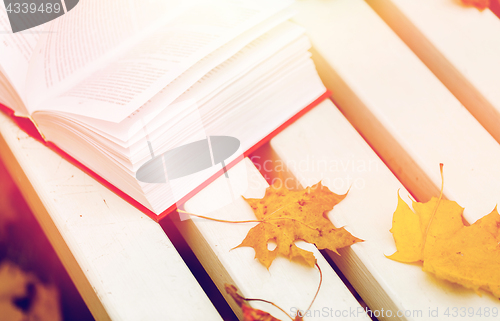 Image of open book and autumn leaves on park bench